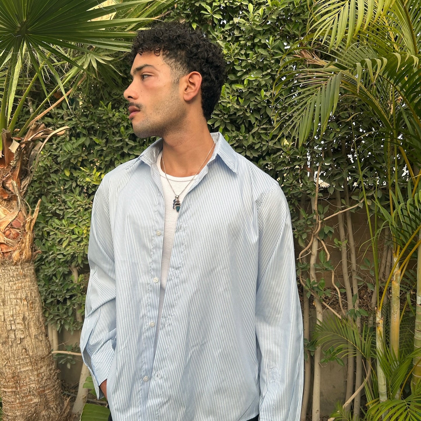 Blue Striped Shirt